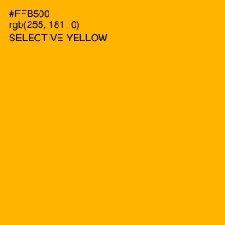#FFB500 - Selective Yellow Color Image
